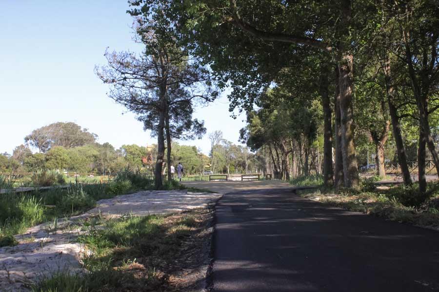 Pista Ciclo Pedonal Mira