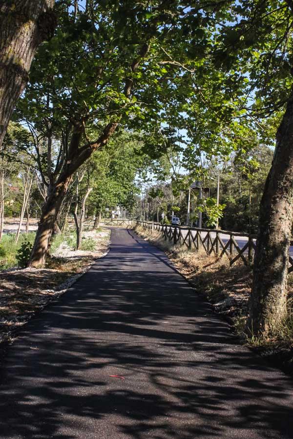 Pista Ciclo Pedonal Mira