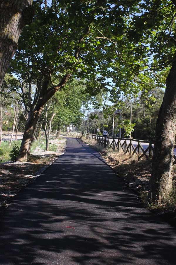 Pista Ciclo Pedonal Mira