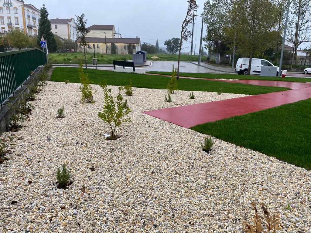 Arranjo Paisagístico Curia