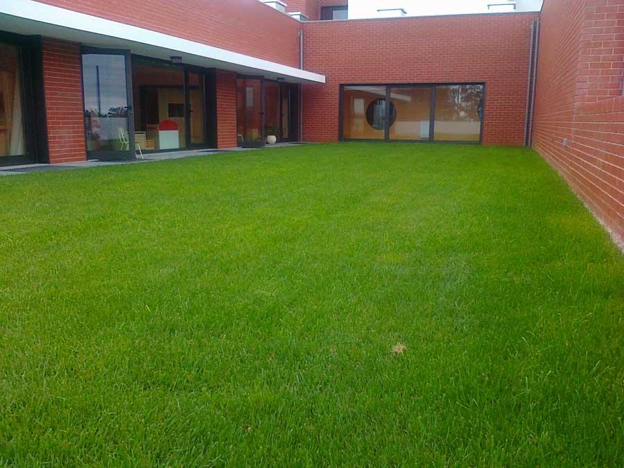 Requalificação Escola Maceda Ovar