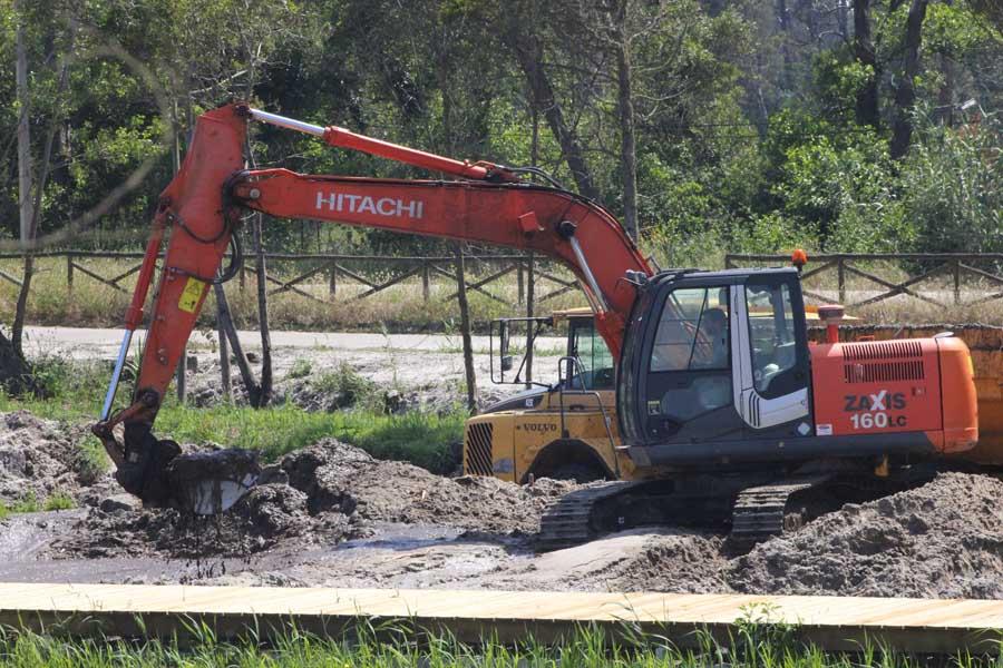 Desassoreamento dos viveiros de Mira