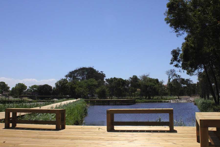 Desassoreamento dos viveiros de Mira