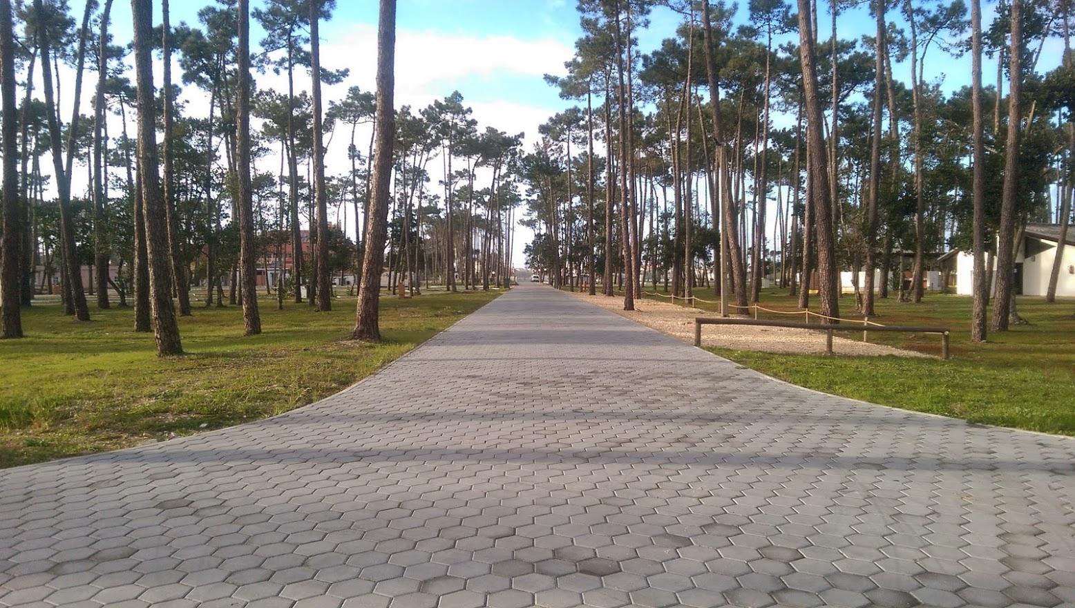 Parque de Campismo Lodge Park